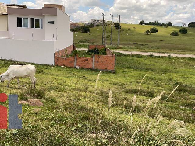 #21 - Terreno para Venda em Cruz das Almas - BA - 1